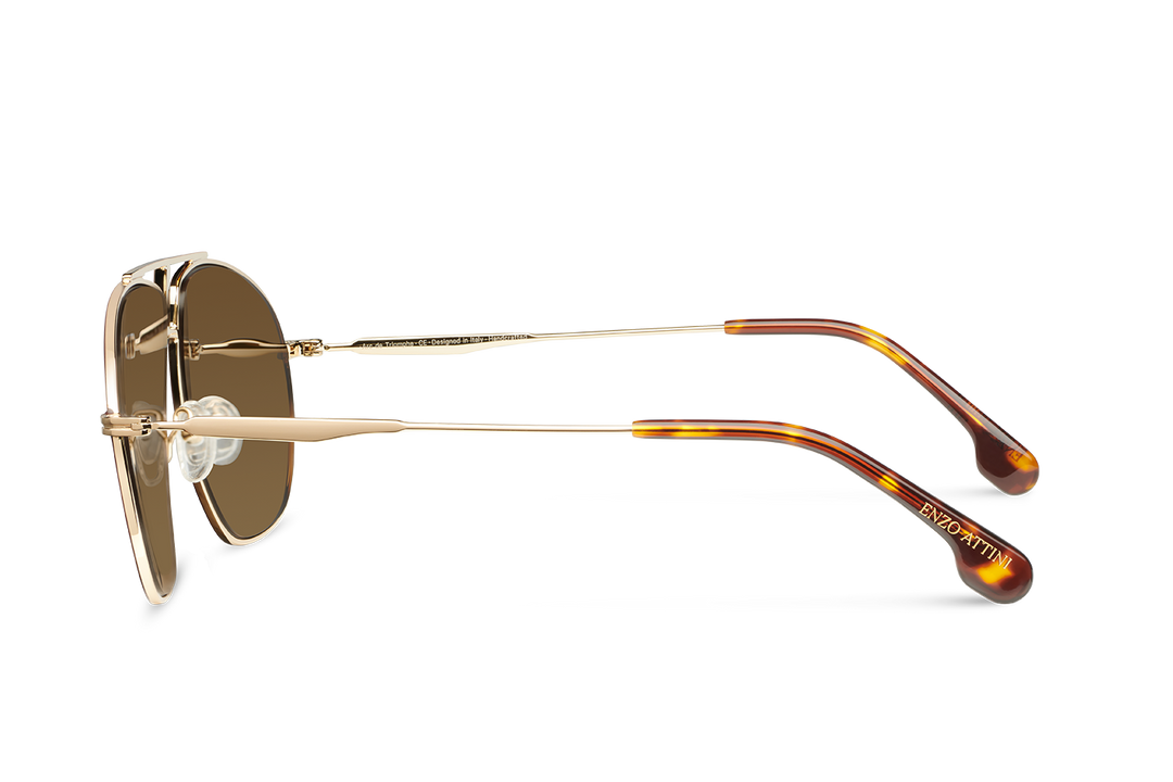 NEW Arc de Triomphe / Dark Brown Lens.