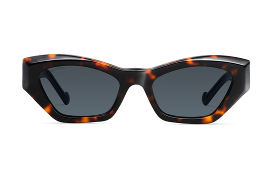 Eiffel Tower / Dark Brown Lens.