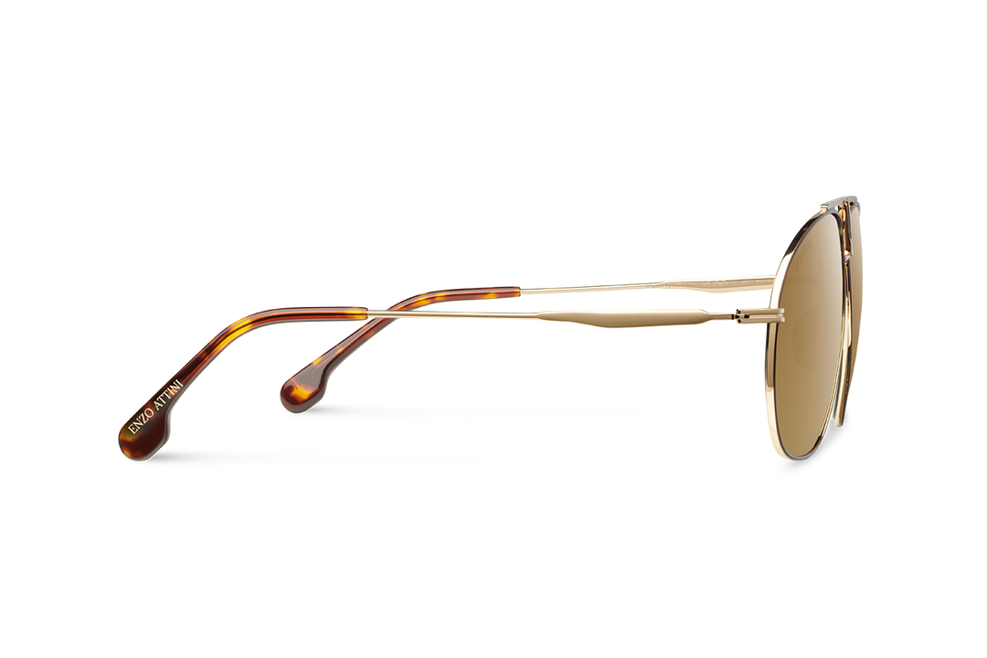 NEW Arc de Triumphe / Dark Brown Lens.