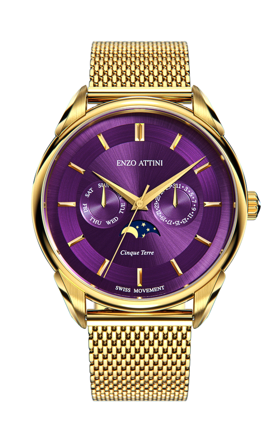 Cinque Terre / Swiss Movement.