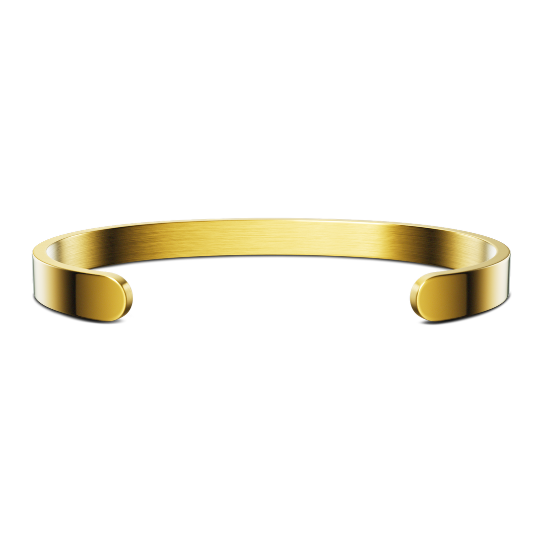 Fontana di Trevi -Minimalist / Gold
