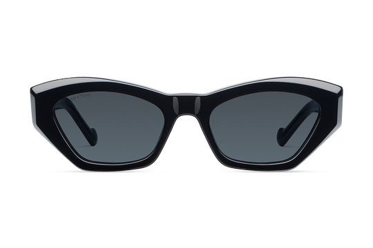 Eiffel Tower / Dark Black Lens