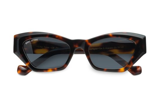 Eiffel Tower / Dark Brown Lens