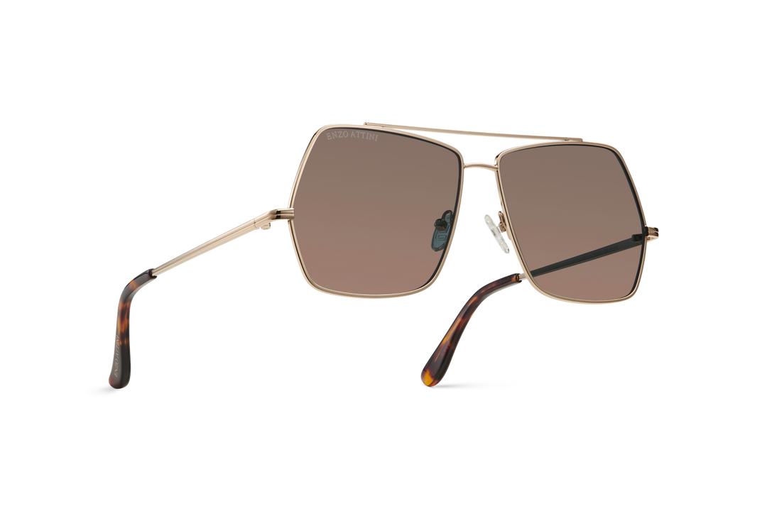 Lake Geneva / Tortoise & Gold Color + Brown Lens