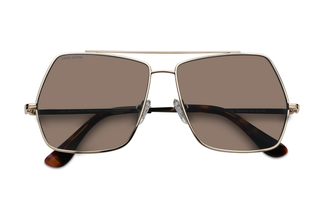 Lake Geneva / Tortoise & Gold Color + Brown Lens.