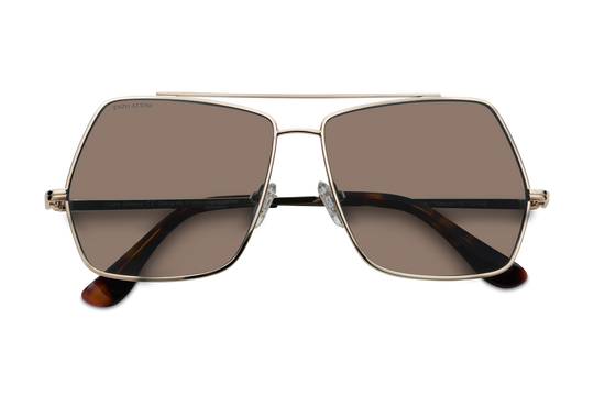 Lake Geneva / Tortoise & Gold Color + Brown Lens
