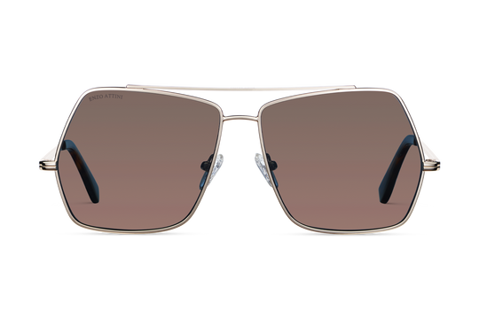 Lake Geneva / Tortoise & Gold Color + Brown Lens
