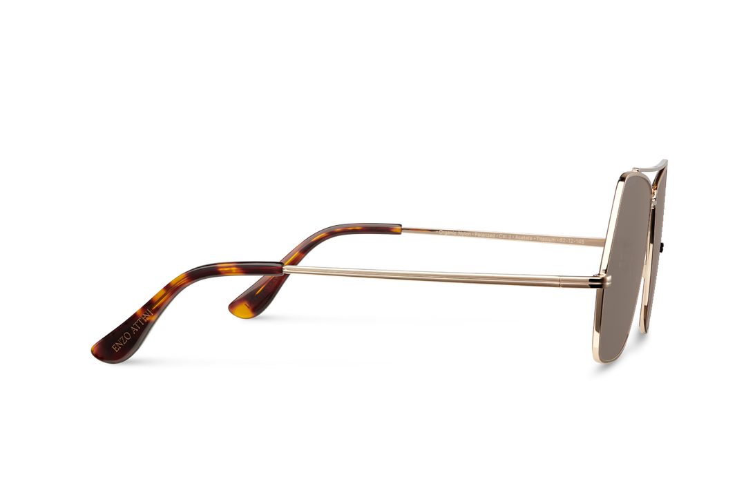 Lake Geneva / Tortoise & Gold Color + Brown Lens.