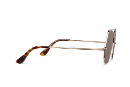 Lake Geneva / Tortoise & Gold Color + Brown Lens.