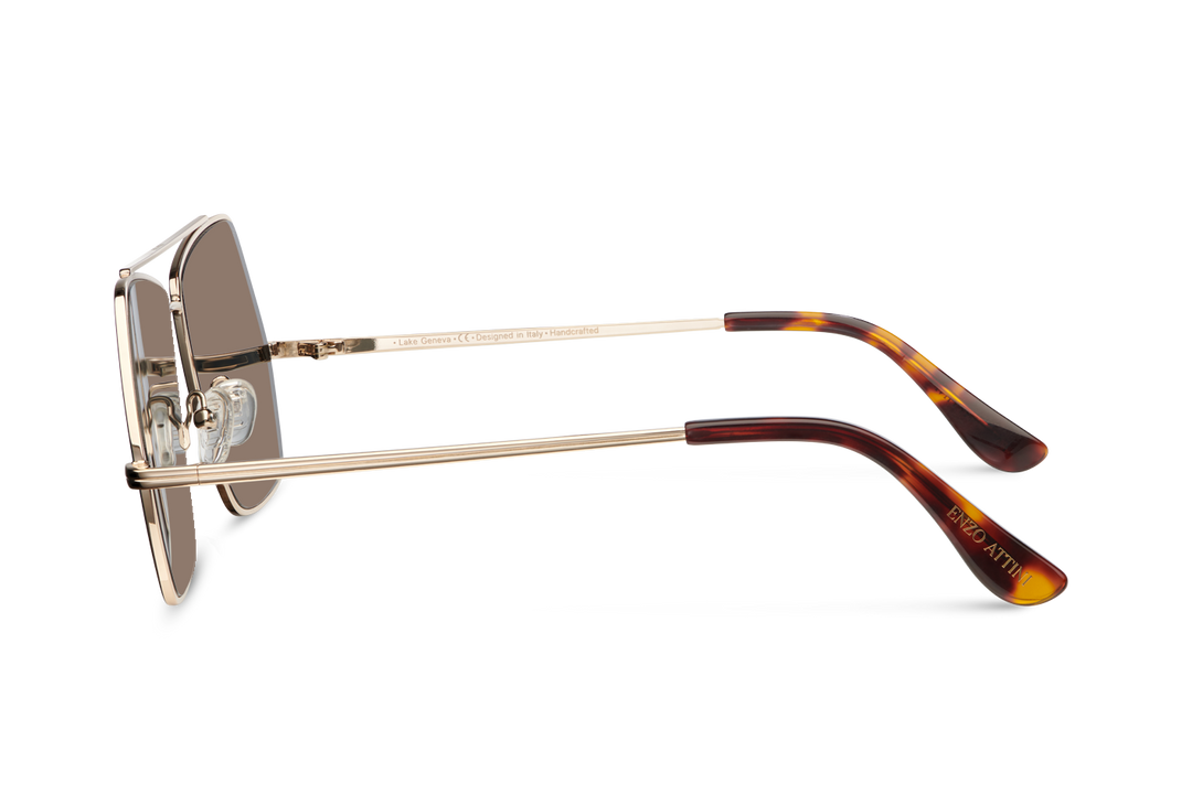 Lake Geneva / Tortoise & Gold Color + Brown Lens.