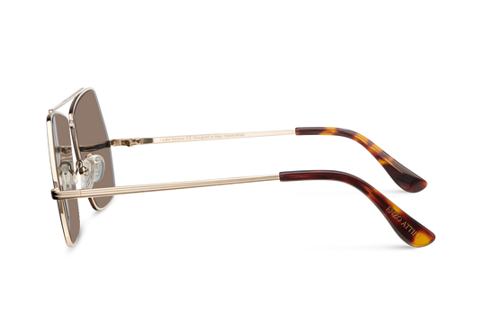 Lake Geneva / Tortoise & Gold Color + Brown Lens.