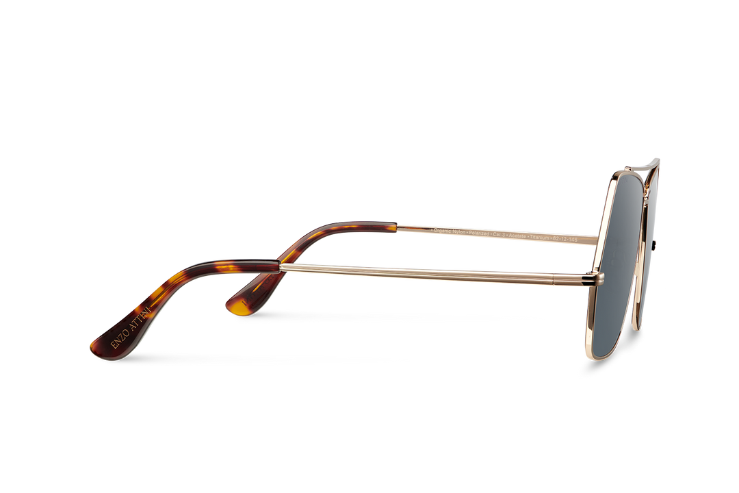 Lake Geneva / Tortoise & Gold Color + Dark Black Lens