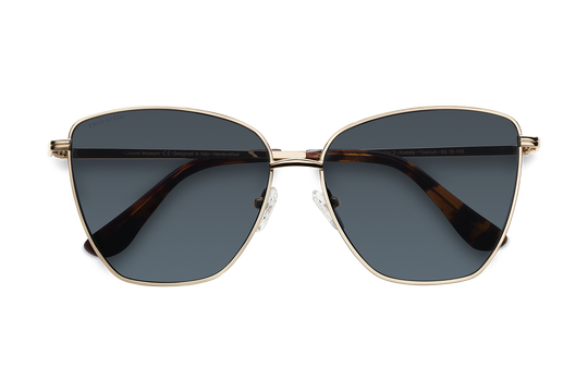 Louvre Museum / Tortoise & Gold Color + Dark Black Lens