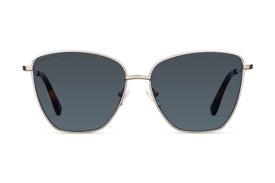 Louvre Museum / Tortoise & Gold Color + Dark Black Lens.